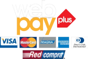 webpay-plus-2.png
